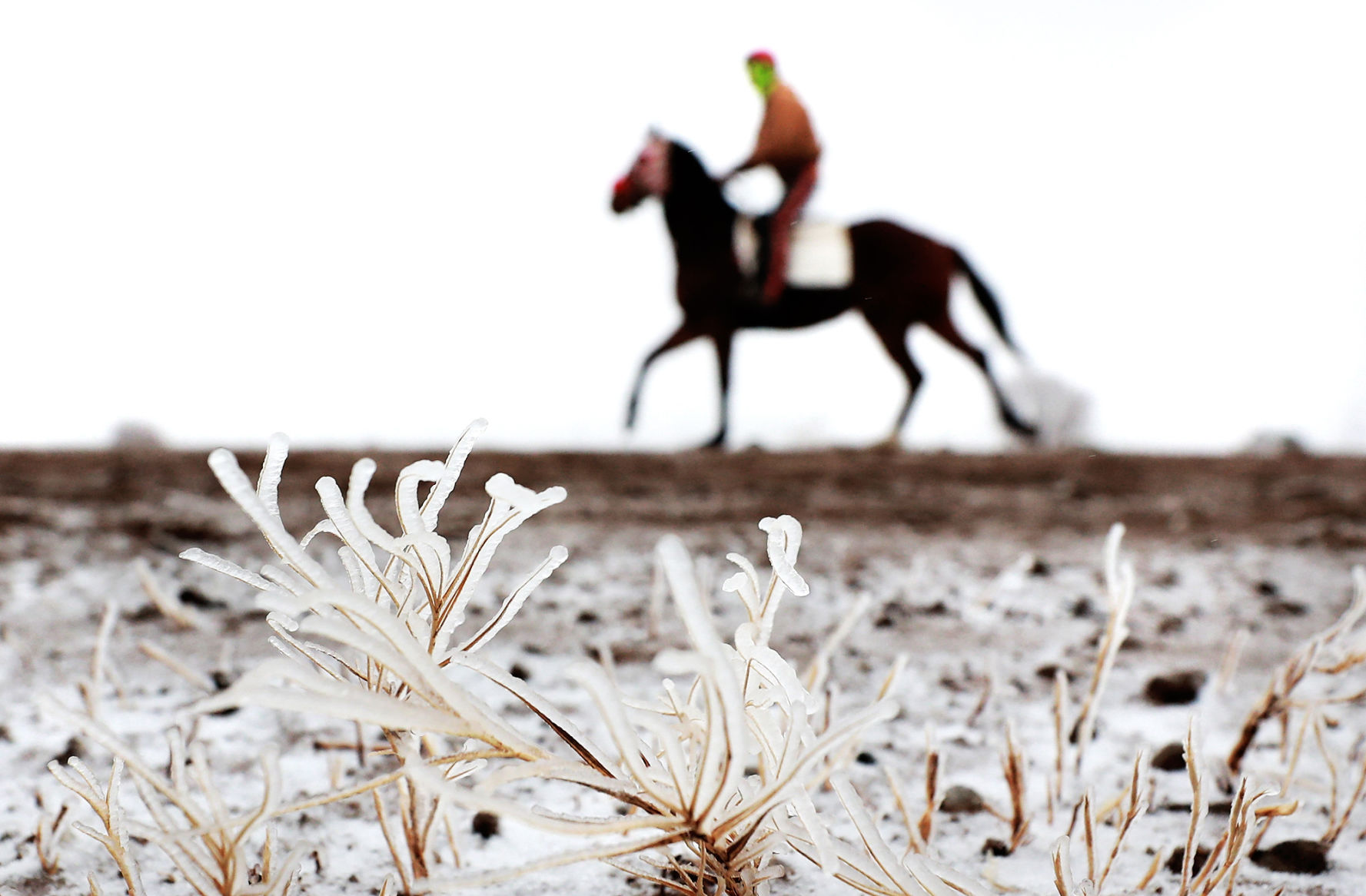 021219_IcyWeather003_bjs.JPG